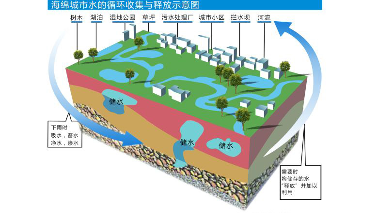 看社会热议的海绵城市是什么一番景象-蓝膜