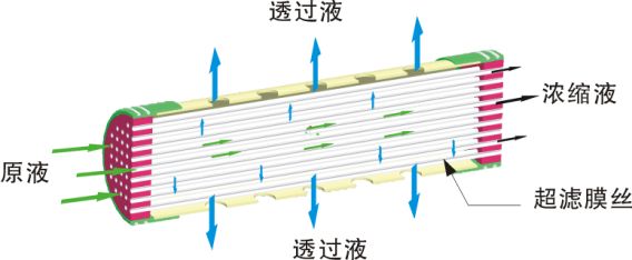 内压式超滤膜和外压式超滤膜有什么区别？-蓝膜