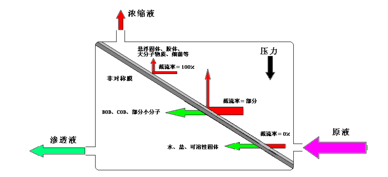 浸没式超滤膜是什么