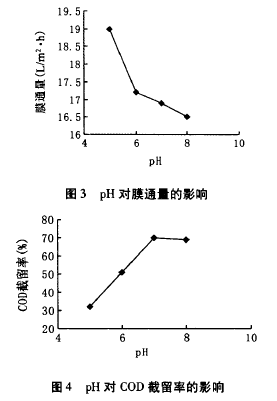 纳滤膜，废水渗透液，COD，去除效果